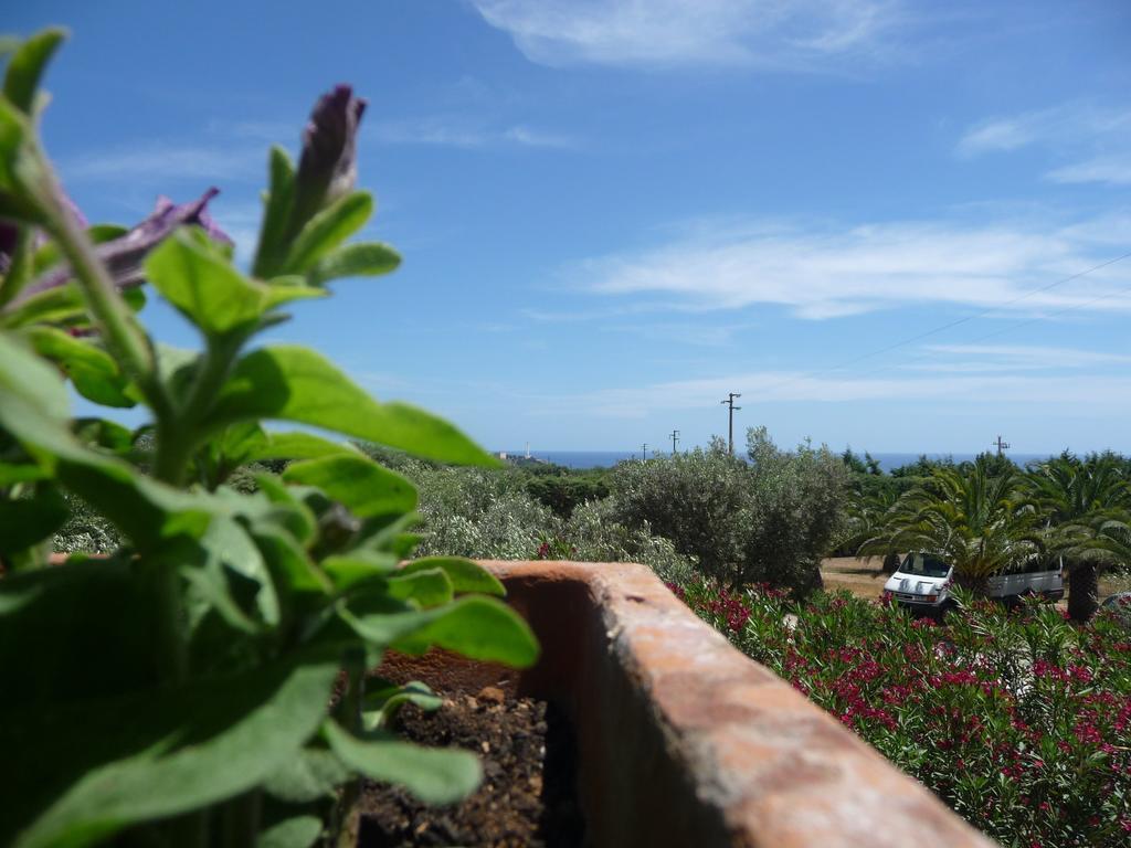 Agriturismo Serine Santa Maria di Leuca Esterno foto